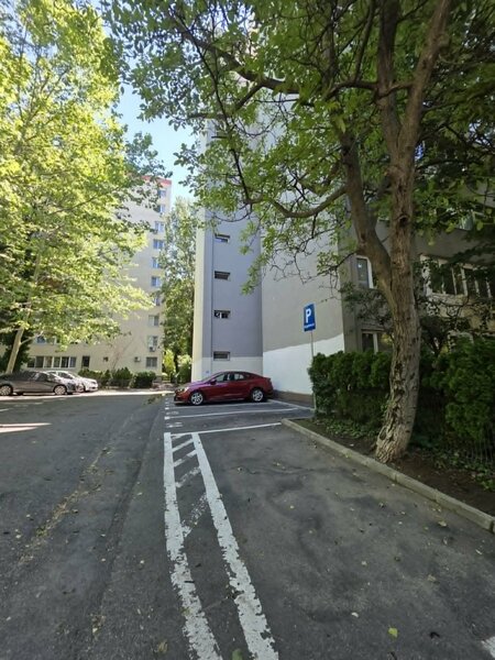 Alexandru Obregia - Aliorului